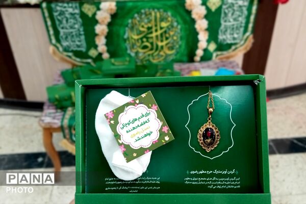 ویژه برنامه «شمین رضوی» در شهر بن 