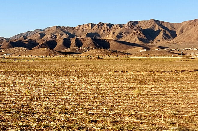 بیابان‌زدایی؛ گامی در مسیر حفظ محیط‌زیست