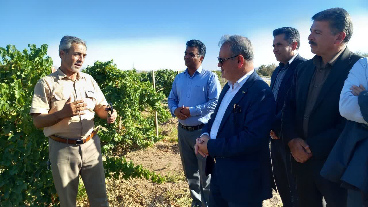 سفر معاون وزیر جهاد کشاورزی به کاشمر
