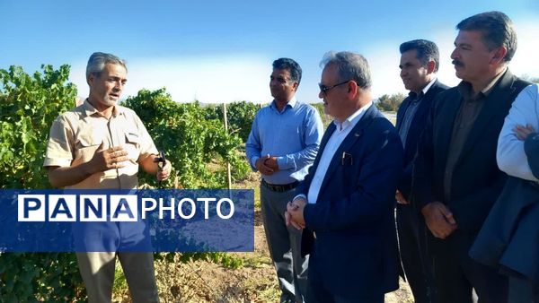 سفر معاون وزیر جهاد کشاورزی به کاشمر