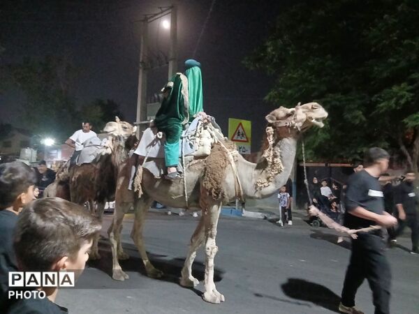 کاروان نمادین اُسرای کربلا در زیبادشت فردیس 