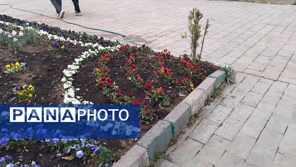 گل‌ها و درختان در شکوفایی