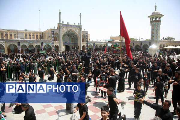 عزاداری تاسوعای حسینی(ع) در حرم حضرت معصومه(س)