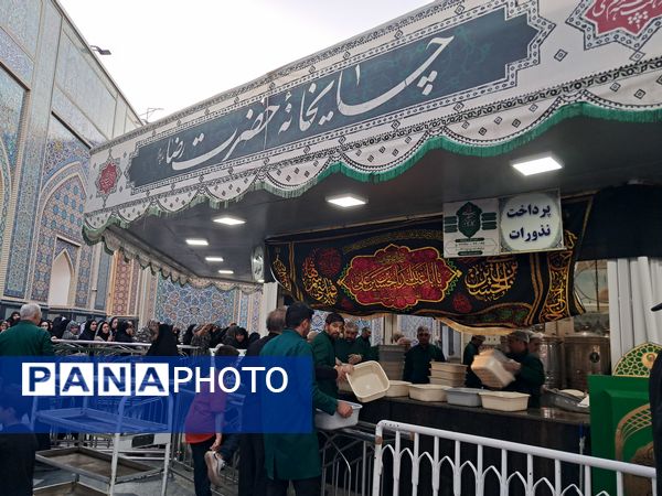 کبوتر حرم مشهد مقدس