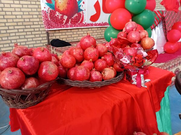 جشن باشکوه انار در روستای نقاب خلیل آباد