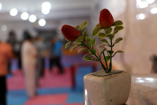بزرگداشت پنجمین سالگرد سردار شهید سلیمانی در باشگاه ورزشی ذوالفقار قم