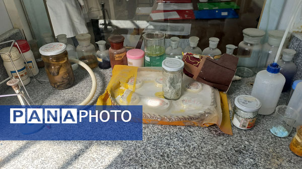 مسابقات علمی علوم تجربی در پژوهش سرای رازی مشهد 