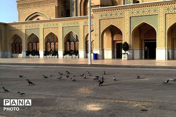 در پناه آرامش؛ وقتی زمان در مشهد متوقف می‌شود