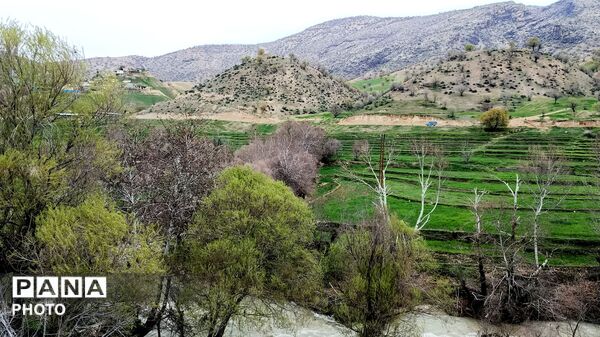 میانکوه شاهد فصل رویش گیاهان