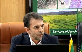 وجود ضوابط فنی و قانونی معین برای واگذاری اراضی