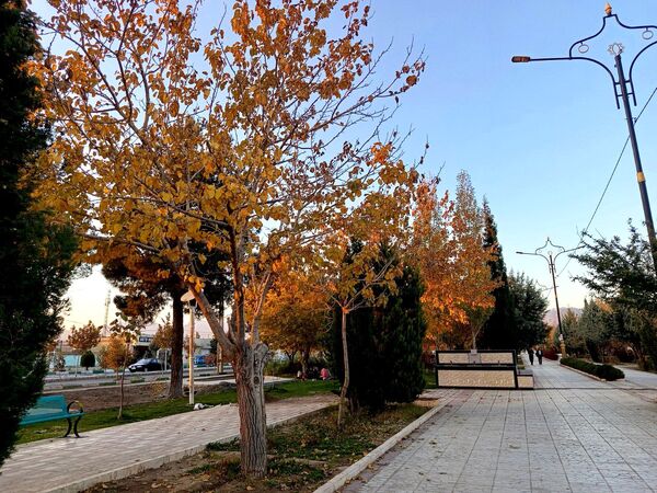طبیعت زیبای کاشمر در پاییز