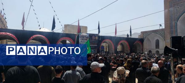 دل‌های جامانده، گرد حرم سلطان علی(ع) در مشهد اردهال به شور افتادند