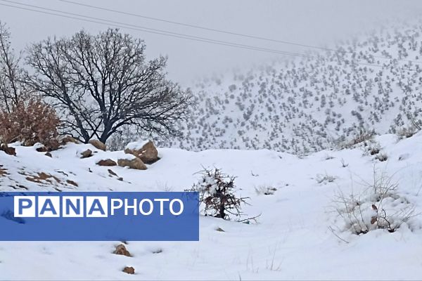 بارش باران و برف زمستانی در روستای کینک