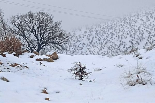 بارش باران و برف زمستانی در روستای کینک
