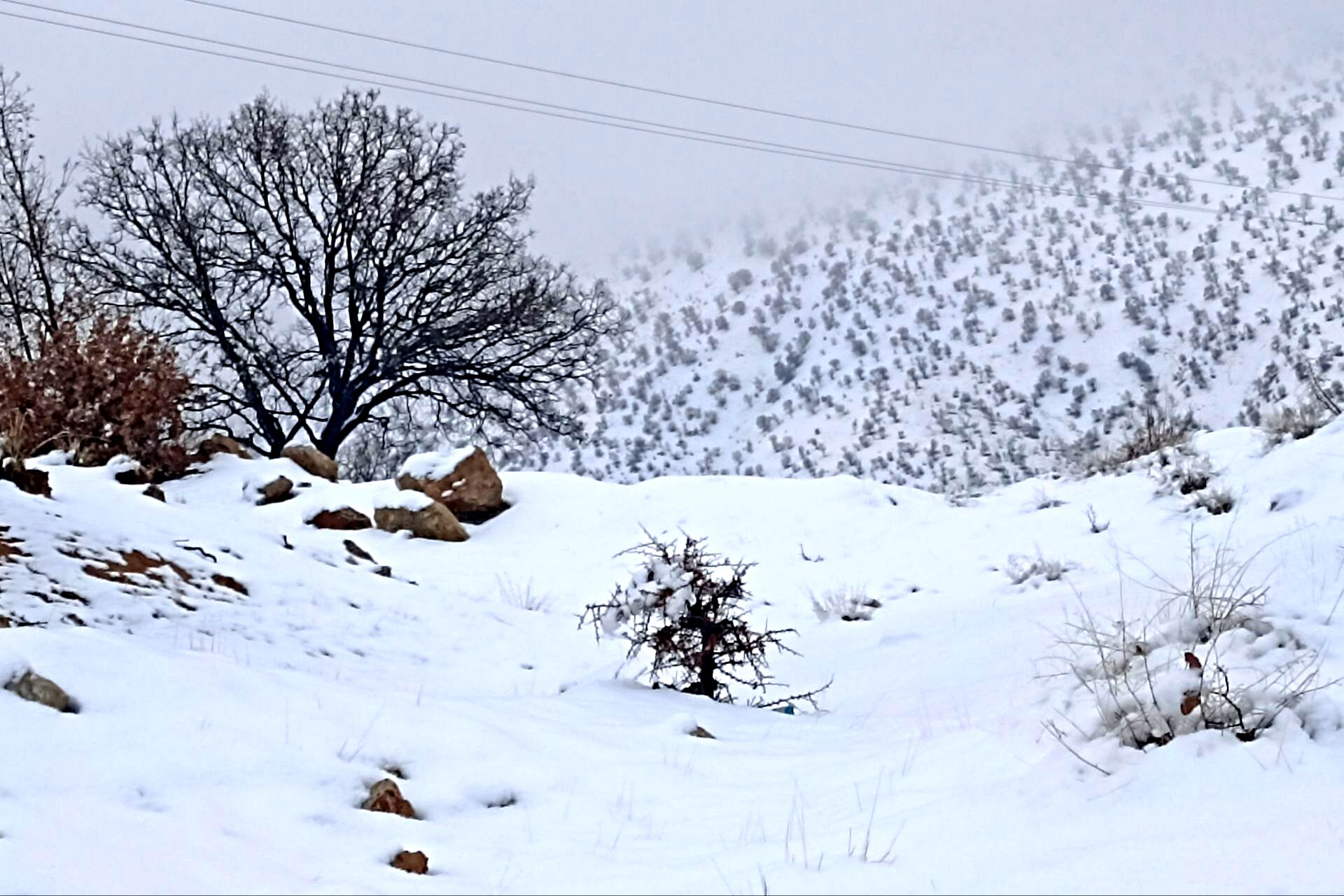 بارش باران و برف زمستانی در روستای کینک