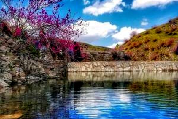 بیانیه شورای دانش‌آموزی دختران استان قم به مناسبت آغاز سال نو