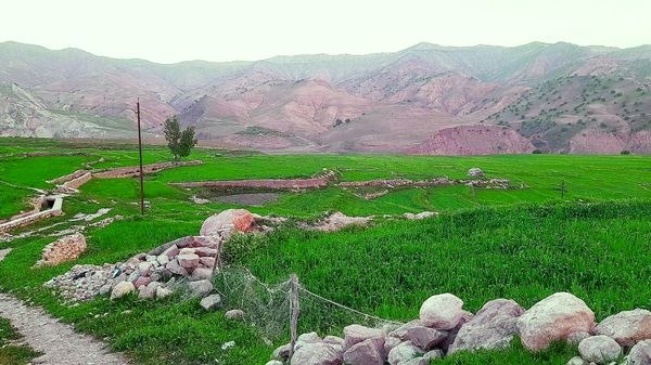 هنر در طبیعت نهفته است