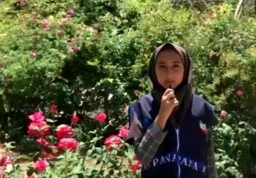 درس ادیب اگر بود زمزمه محبتی
