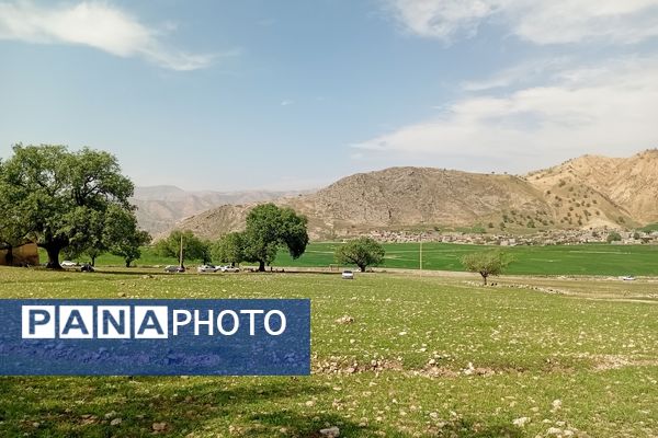 بهار، آغاز دوباره‌ی زندگی طبیعت 