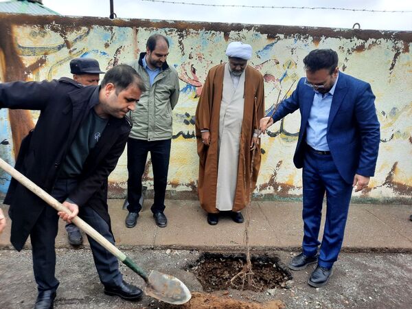 در هفته درختکاری دبیرستان دخترانه فدک تربت جام سرسبزتر شد