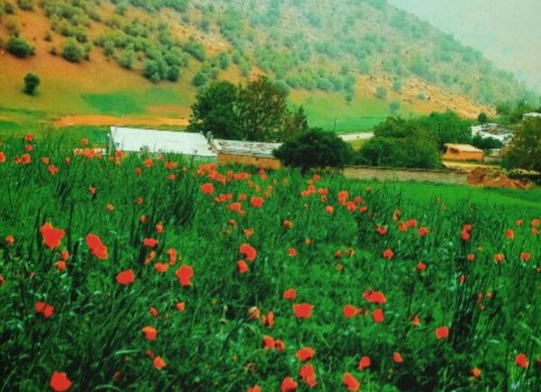 جاذبه‌های گردشگری روستای دوازده‌ امام 