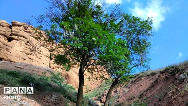 کوه های زیبای تخت پلنگ نیشابور 