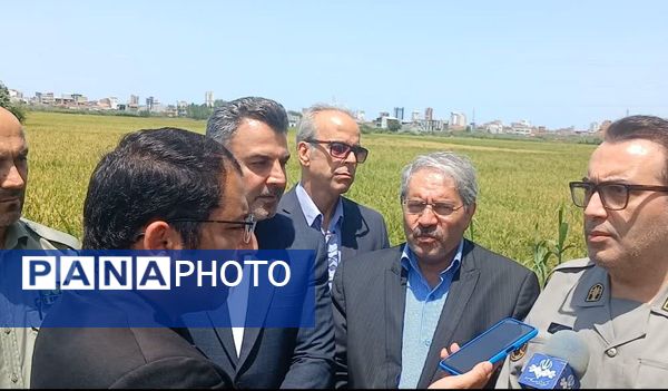 حضور معاون محیط‌ زیست دریایی و تالاب‌های سازمان حفاظت از محیط زیست در فریدونکنار