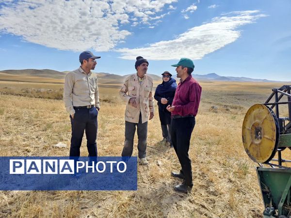 بازدید برداشت گندم در شهرستان فاروج