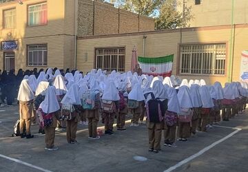 جوانه نهال‌های ایران