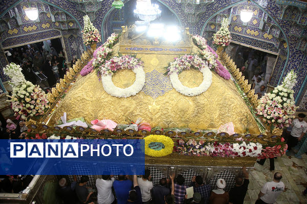 گل آرایی ضریح مطهر حضرت معصومه(س) به مناسبت روز دختر