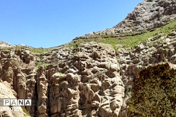 کوه های شهر بار ذخیره‌گاه گیاهان ارزشمند و کم نظیر دارویی 