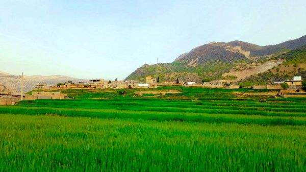 هنر در طبیعت نهفته است