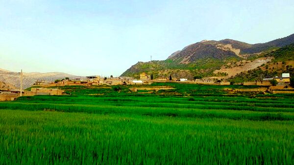 هنر در طبیعت نهفته است
