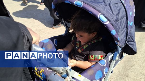 جلوه‌هایی از حضور کودکان در مسیر مشایه نجف تا کربلا