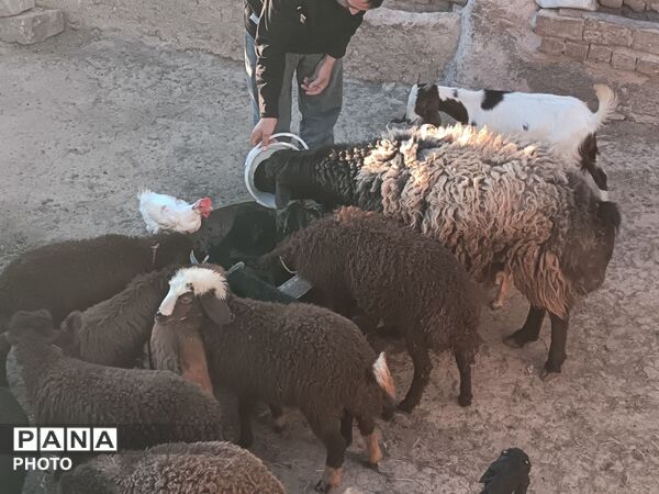 دیار برزنون،کوچه هایی آکنده از عطر بهار