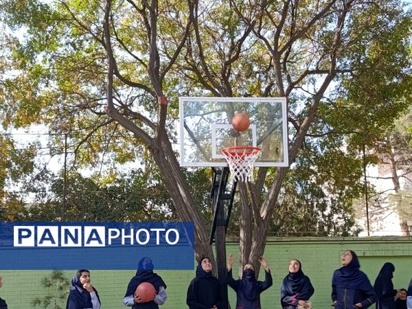 تلفیق ورزش و هنر در دبیرستان وکیلی 3