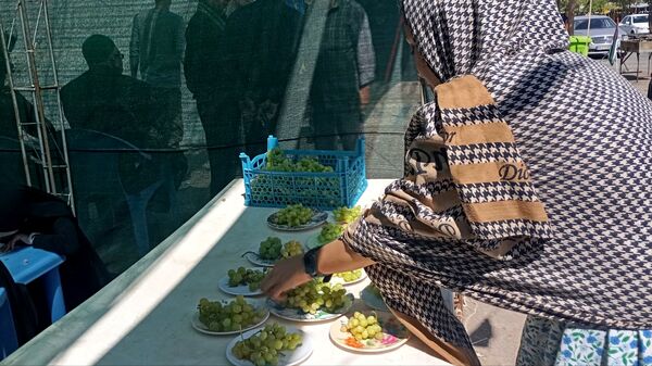 عاشقان امام رضا(ع) در راه مشهد مقدس