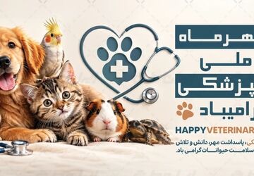 فرشتگان بی‌ادعای سلامت در خط مقدم محافظت از حیات