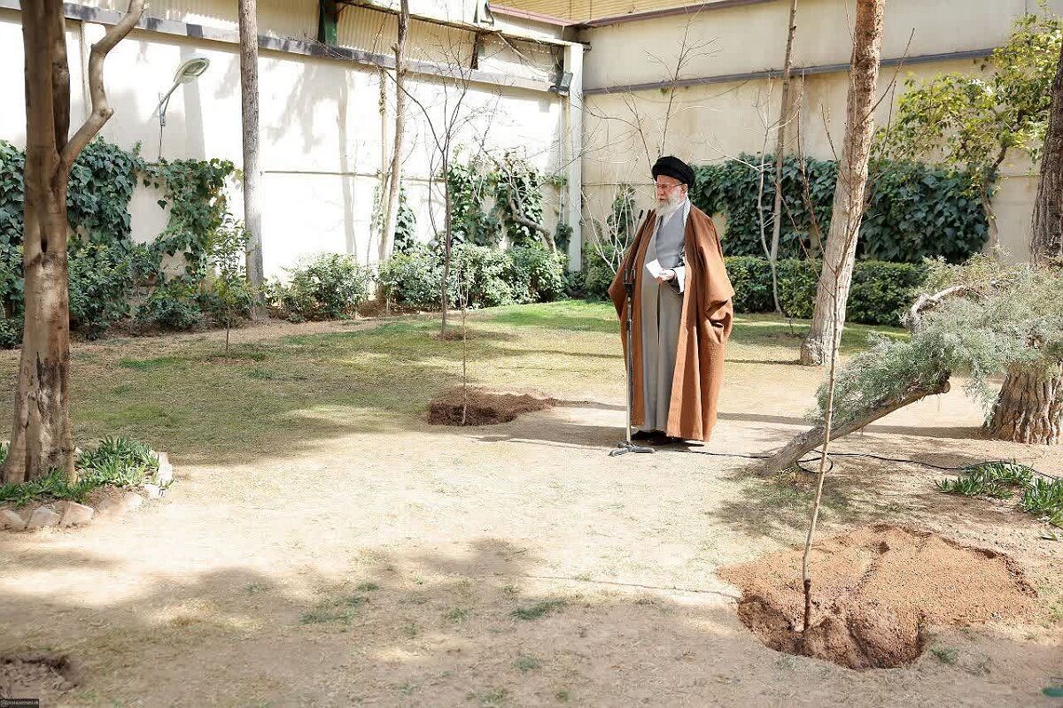 او نهال می‌کاشت برای زندگی، و رفت تا زمین از بی‌پناهی او بسوزد