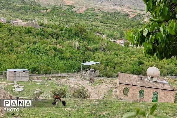 حال و هوای شهر بار نیشابور در فصل زیبای بهار
