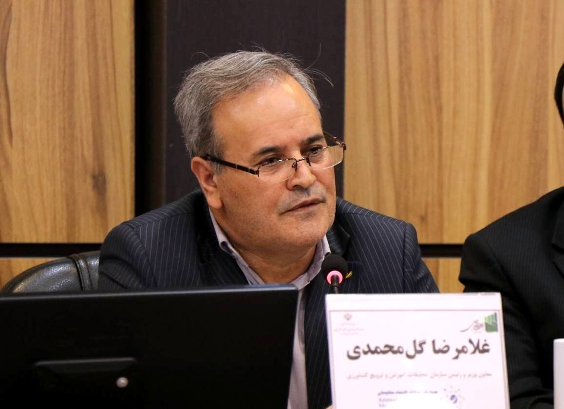 17 درصد اعضای هیات علمی بخش کشاورزی در تات مشغول به کار هستند