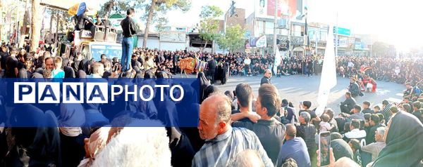 حرکت نمادین کاروان بندی اسد روستای فدافن و آیین نخل گردانی در کاشمر 