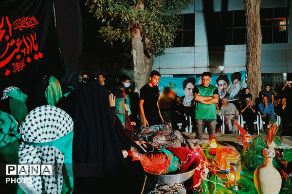 لالایی ناتمام خرابه شام؛ آباده در سوگ دردانه سیدالشهدا(ع)