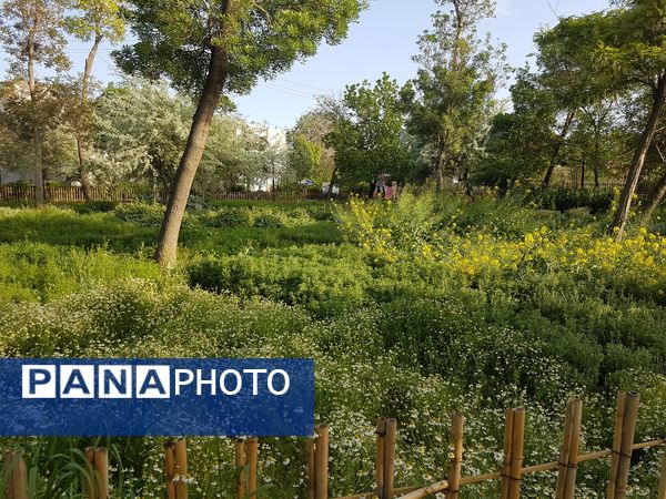 اردیبهشت زیبای باغ گیاهشناسی مشهد
