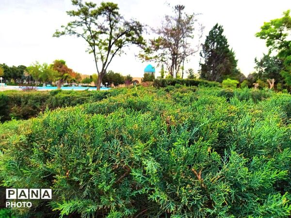 بهار مهمان امامزاده سید حمزه