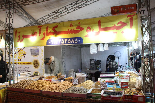 نمایشگاه شب یلدا در باغ دولت‌آباد یزد