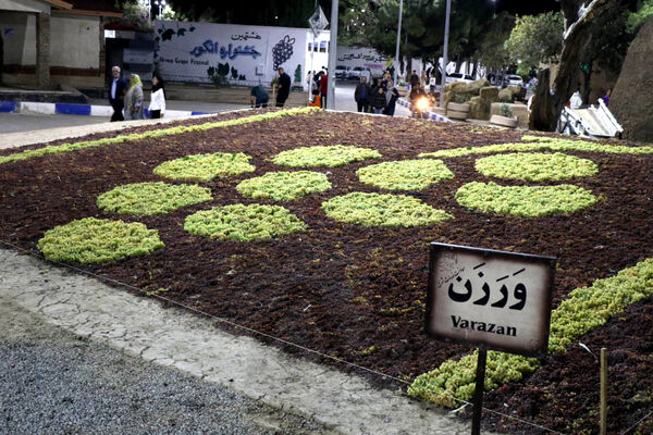 هشتمین جشنواره انگور ارومیه