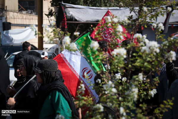 پیاده‌روی جاماندگان اربعین در تهران - 1