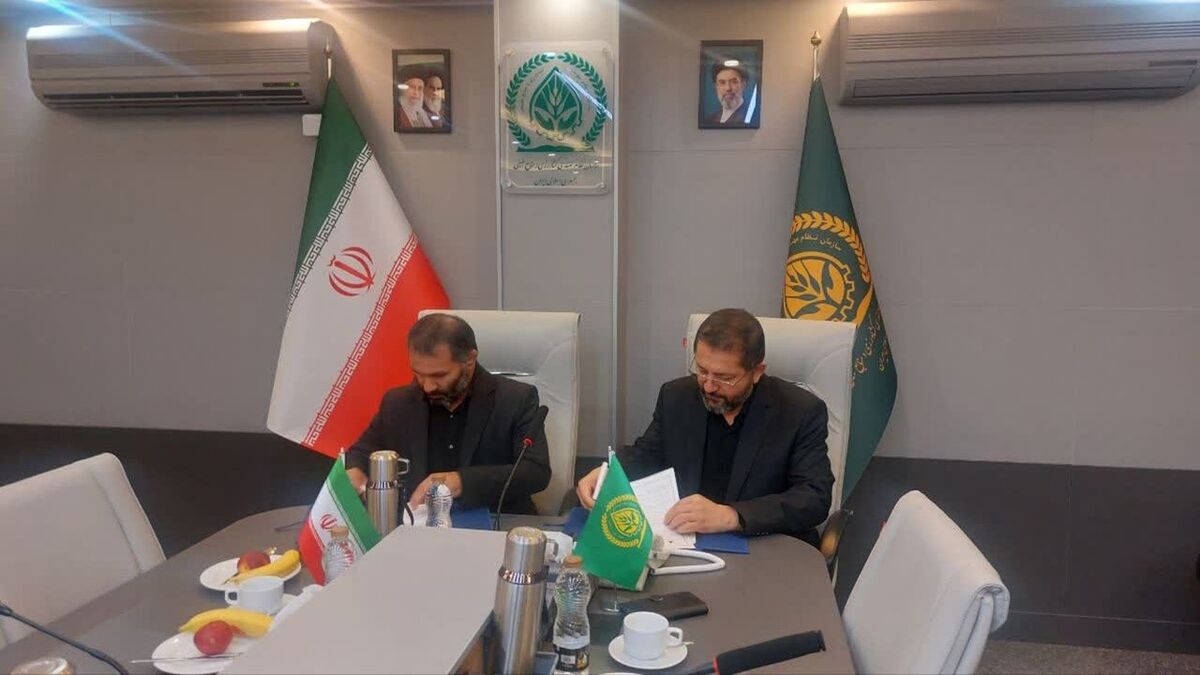 همکاری مشترک توسعه کشاورزی دانش‌بنیان و شهرهای مولد کشاورزی