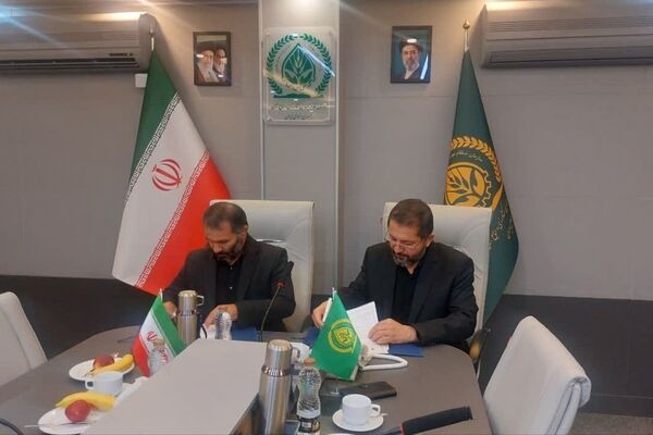 همکاری مشترک توسعه کشاورزی دانش‌بنیان و شهرهای مولد کشاورزی